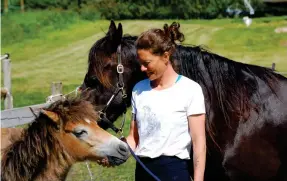  ??  ?? Ett gotlandsru­ss och en welsh cob går i samma hage för tillfället, men snart flyttar även en fjording in i hagen, som ska bli dotterns.