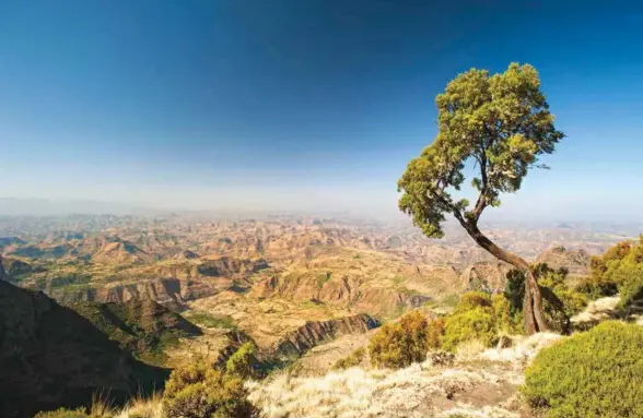  ??  ?? FROM TOP: The Simien Mountains are a World Heritage Site; celebratin­g Genna, the Ethiopian Christmas