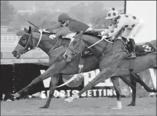  ?? Picture: JC Photos ?? The Sean Tarry-trained SILVER GOD is an early favourite for the Summer Cup at Turffontei­n.