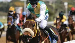  ?? Photograph: Gold Circle ?? Passivity, trained by Lowan Denysschen, aims for a hat-trick today in Race 6, a FM 68 Handicap over 1400m on the Greyville Polytrack.