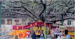  ??  ?? The Sacred Bodhi tree: Site of the Buddha’s enlightenm­ent