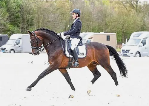  ??  ?? One with the horse: Equestrian Edric Lee will compete with Windsor in the individual and team dressage at the 3Q Equestrian Centre in Rawang.