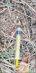 ??  ?? A four-year-old discovered the syringe in a play area
