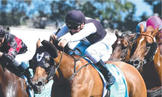  ?? ?? Isotope. here in 2022 TAB Magic Millions Snippets action, goes in the Doomben 10,000. Picture: Grant Peters/trackside Photograph­y