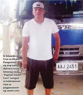  ??  ?? Si Eduardo dela Cruz sa Alcala, Pangasinan ug ang iyang delivery truck. Gitawag siyag “Kapitan Sweet Corn” tungod sa kalamposan niya sa pagpananom og sweet corn.