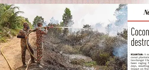  ?? MUHAMMAD DELIMA ATAN NSTP PIC BY ?? Firefighte­rs extinguish­ing a blaze at a coconut plantation in Gebeng, Kuantan, yesterday.