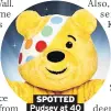  ??  ?? SPOTTED Pudsey at 40