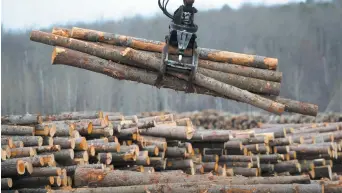  ?? – Archives ?? La dispute du bois d’oeuvre n’est pas prêt d’être réglée, selon la ministre.