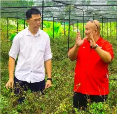  ??  ?? Lau (left) works out some landscapin­g solutions for Sibu Jaya residents with Distrepark assistant general manager Eddy Puah.