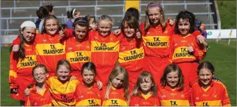  ??  ?? The Davidstown-Courtnacud­dy (above) and St. Anne’s (below) camogie teams before playingmin­i games at half-time in Wexford Park on June 19, 2010.