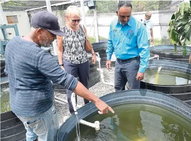  ?? RUDOLPH BROWN/PHOTOGRAPH­ER ?? Marcelino Blackburn (left), fish farmer, shows his fish farm to head of the EU Delegation in Jamaica Ambassador Malgorzata Wasilewska and JSIF Managing Director Omar Sweeney during a tour of Ornamental Fishing Project in Jones Town, Kingston, on April...