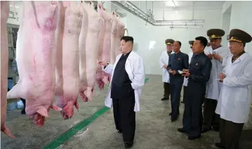  ?? (Reuters) ?? NORTH KOREAN leader Kim Jong-un visits the Thaechon Pig Farm of the Air and Anti-Air Force of the Korean People’s Army in an undated photo the Korean Central News Agency released yesterday.