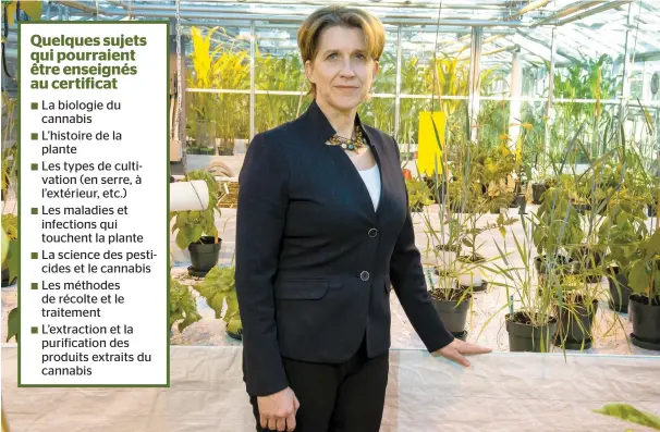  ?? PHOTO PIERRE-PAUL POULIN ?? La Dre Anja Geitmann, doyenne de la Faculté des sciences de l’agricultur­e et de l’environnem­ent de l’université Mcgill, dans l’une des serres de sa faculté qui pourra bientôt accueillir des plants de cannabis dédiés à la recherche et la formation de...