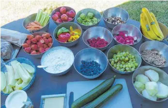  ?? FOTO: PRIVAT ?? Die Schulfruch­t-Tage bieten eine optimale Gelegenhei­t, Kinder für frische Früchte zu begeistern