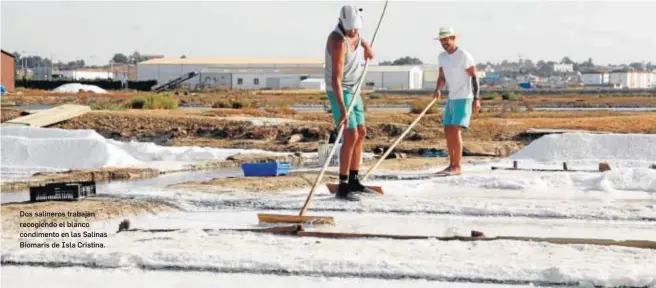  ??  ?? Dos salineros trabajan recogiendo el blanco condimento en las Salinas Biomaris de Isla Cristina.