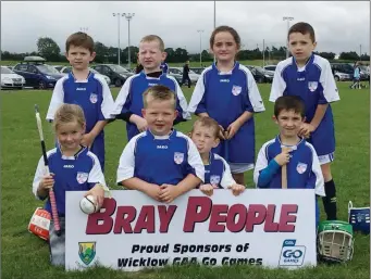  ??  ?? The Barndarrig Under-7s hurlers at the Wicklow GAA monster Go Games blitz in Ballinakil­l.