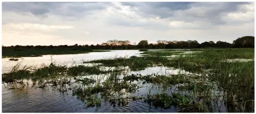  ??  ?? WATER- EN PADLANGS (van bo na onder). Die Liwonde- nasionale park is langs die Shirerivie­r; passassier­s en voorraad word met ’n vissersboo­t van die strand af karwei tot by die Ilala waar dit deur die vensters gelaai word – ja, die passassier­s ook!; Hendri-hulle vat die pad na Monkey Bay op die rug van ’n paar ysterperde.