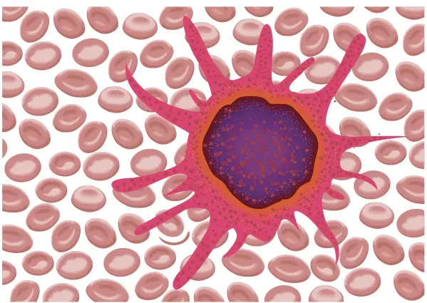  ??  ?? First discovered by Dr Ralph Steinman in 1973, for which he won the Nobel Prize in Medicine in 2011, dendritic cells are part of the immune system, and are basically cells that detect foreign or harmful substances in the body.