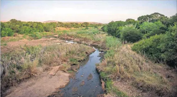  ?? Photo: Delwyn Verasamy ?? Dirty water: Bosveld Phosphates paid a R2.55-million fine in 2014m after locals collected data to prove it had polluted the Ga-Selati River (above), a tributary to the Olifants. Hundreds of fish and crocodiles died downriver in the Kruger National Park as a result.