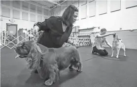  ?? PHOTOS BY KIMBERLY P. MITCHELL/DETROIT FREE PRESS ?? Samantha Gibson works with Clyde, a Sussex Spaniel, next to Micaela Kenyon, and her dog Saga during ring practice at Sportsmen’s Dog Training Club of Detroit in Warren on April 29. Both Handlers and dogs will be going to the Westminste­r Kennel Club dog show.