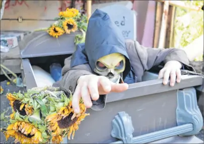  ?? SHARON MONTGOMERY-DUPE/CAPE BRETON POST ?? Two Rivers Wildlife Park volunteer John Evan Huntington showed how creepy the graveyard at the Fright Night trail will be this Halloween season as he makes his way out of a coffin along the trail. More than 100 volunteers take part in the annual...