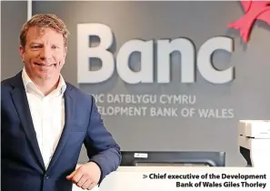  ?? ?? > Chief executive of the Developmen­t Bank of Wales Giles Thorley