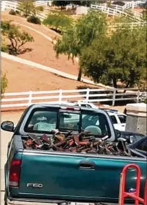  ?? LOS ANGELES COUNTY SHERIFF’S DEPARTMENT ?? Some of the firearms seized Thursday from a felon by Los Angeles County sheriff’s officials, acting on informatio­n from a tipster, fill the bed of a pickup truck.