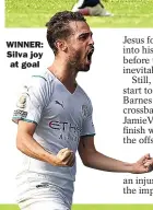  ??  ?? WINNER: Silva joy
at goal