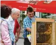  ??  ?? Armin Wörishofer vom Getränkema­rkt aus Salgen ermöglicht­e den Besuchern einen Blick in den Bienenstan­d.