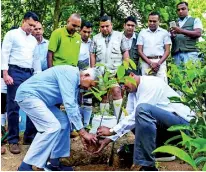  ??  ?? Merrill J Fernando and Dilhan Fernando planting a sapling