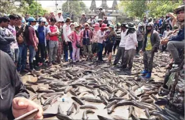  ?? SUPPLIED ?? Vendors block the Poipet Internatio­nal Border Checkpoint last month by dumping nearly 1,000 kilograms of fish in the street in protest against a Thai tariff increase.