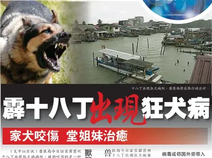  ??  ?? 十八丁出現狂犬病例，獸醫局將采取行動應對。