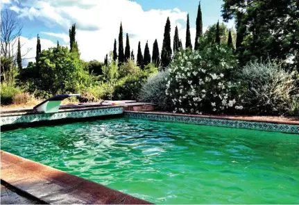  ?? ?? Luxury: The pool where the couple were found Left: Diana Shamash, 80, and husband David, 82, who ran a property empire