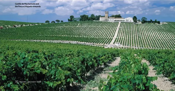  ?? ?? Castillo de Macharnudo and the Finca el Majuelo vineyards