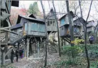  ?? PHOTO PROVIDED TO CHINA DAILY ?? Tree houses in Red Leaf Valley, Jinan, Shandong province, provide accommodat­ion for tourists, and are equipped with furniture such as beds and chairs.