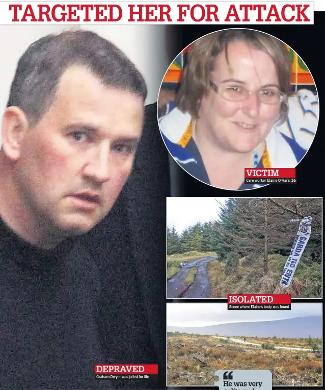  ??  ?? DEPRAVED Graham Dwyer was jailed for life VICTIM Care worker Elaine O’hara, 36 ISOLATED Scene where Elaine’s body was found