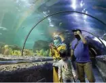  ?? HARITSAH ALMUDATSIR/JAWA POS ?? KEMBALI BEROPERASI: Ditutup selama dua bulan, Sea World Ancol, Jakarta, kini sudah bisa dijadikan jujukan wisata lagi.