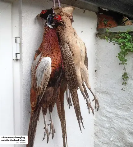  ?? Phil Bowern ?? Pheasants hanging outside the back door