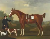  ??  ?? Clockwise from top: Portrait of gentleman on a bay horse with a church beyond by Munnings; The Holloa by Hardy; Huntsman Crossing a Ford by Wootton; John Beard, groom to Captain Bertie, holding Sportsman aged 10, his bay hunter, and Sancho, his favourite dog by Sartorius