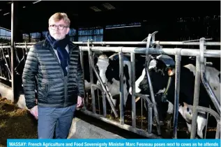  ?? — AFP ?? MASSAY: French Agricultur­e and Food Sovereignt­y Minister Marc Fesneau poses next to cows as he attends a visit at a farm in Massay, central France.