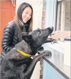  ?? ?? Zeus, a German shepherd and Australian cattle dog mix, eats a dog treat at Boris & Horton.