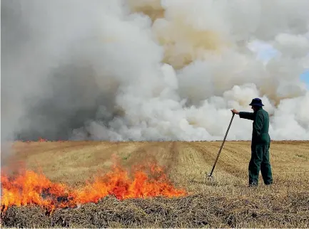  ??  ?? Farmers often rely on stubble burning to prepare the soil for sowing.