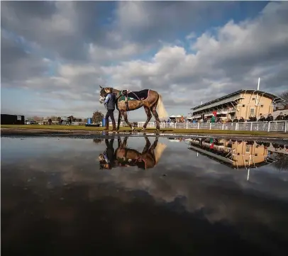  ?? ALAN CROWHURST/GETTY IMAGES ?? The image of a runner in the pre-parade ring is reflected in a nearby pool of water at Warwick yesterday