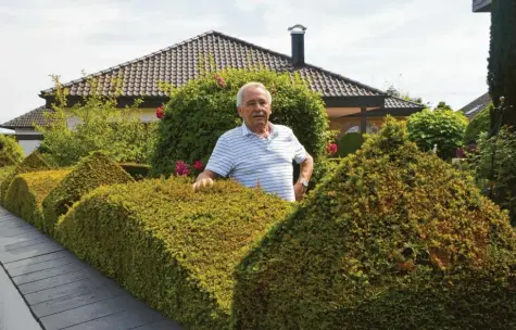  ?? Fotos: Cecilia Weber ?? Die Hecke von Günter Hübner in Hausen ist etwas Besonderes. Die Eibenhecke sieht mit Türmen und Bögen wie eine Schlossmau­er aus.