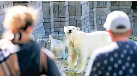  ?? FOTO: OLIVER BERG/DPA ?? Wer den Wuppertale­r Zoo besuchen will, muss ein Zeitfenste­r buchen. Daran ändert sich auch durch die neuen Regelungen nichts.