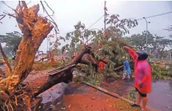  ?? ALLEX QOMARULLA/JAWA POS ?? KENA ANGIN KENCANG: Petugas mengevakua­si pohon yang tumbang sebelum masuk Jembatan Suramadu arah Madura kemarin. Pohon tersebut tercabut dari akarnya dan roboh ke jalan.