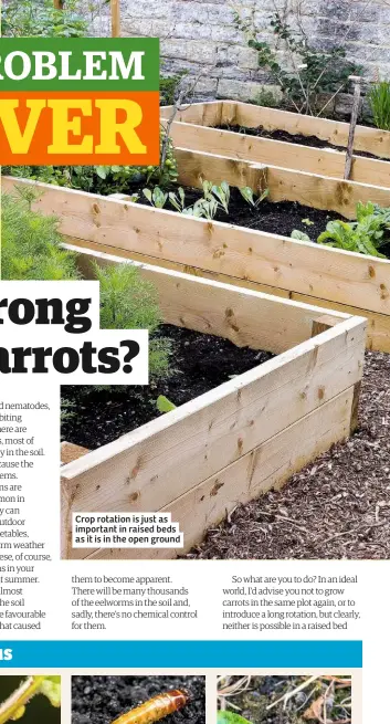  ??  ?? Crop rotation is just as important in raised beds as it is in the open ground