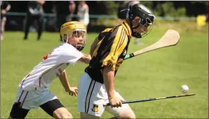  ??  ?? Adamstown captain Craig Bradley holding off Seán Hoctor on the way to scoring a point.