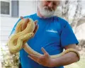  ?? OLIVIA HARLOW/THE NEW MEXICAN ?? RIGHT: Wyant holds Casper, an albino bull snake that is one of several he keeps for educationa­l purposes. He wants people to understand that ‘snakes are not evil. It’s only when they sense a threat that they will attack.’