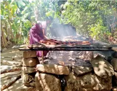  ??  ?? Ms. Kopalapill­ai Theivamala­r makes her living from fish-smoking in Sri Lanka. Using the traditiona­l fish-smoking method can cause health hazards from smoke inhalation.